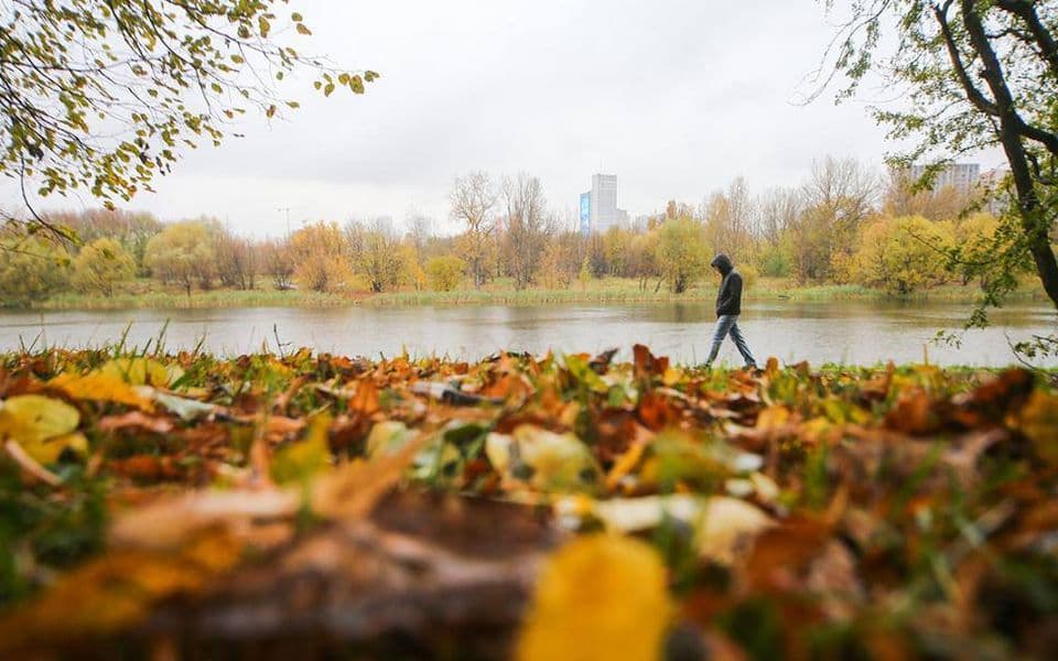 Осень 