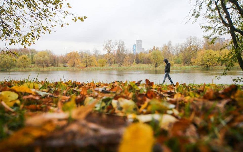 Осень