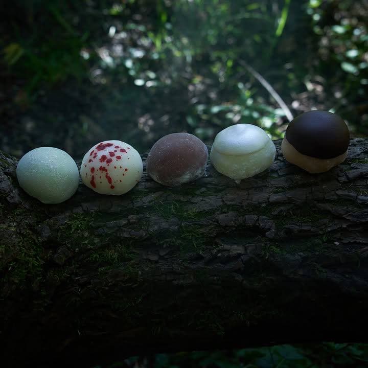 Моти