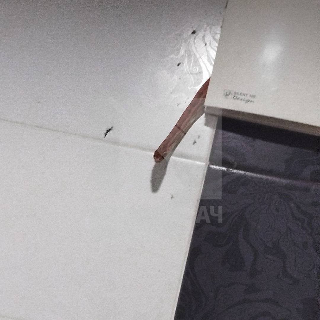 Змея 