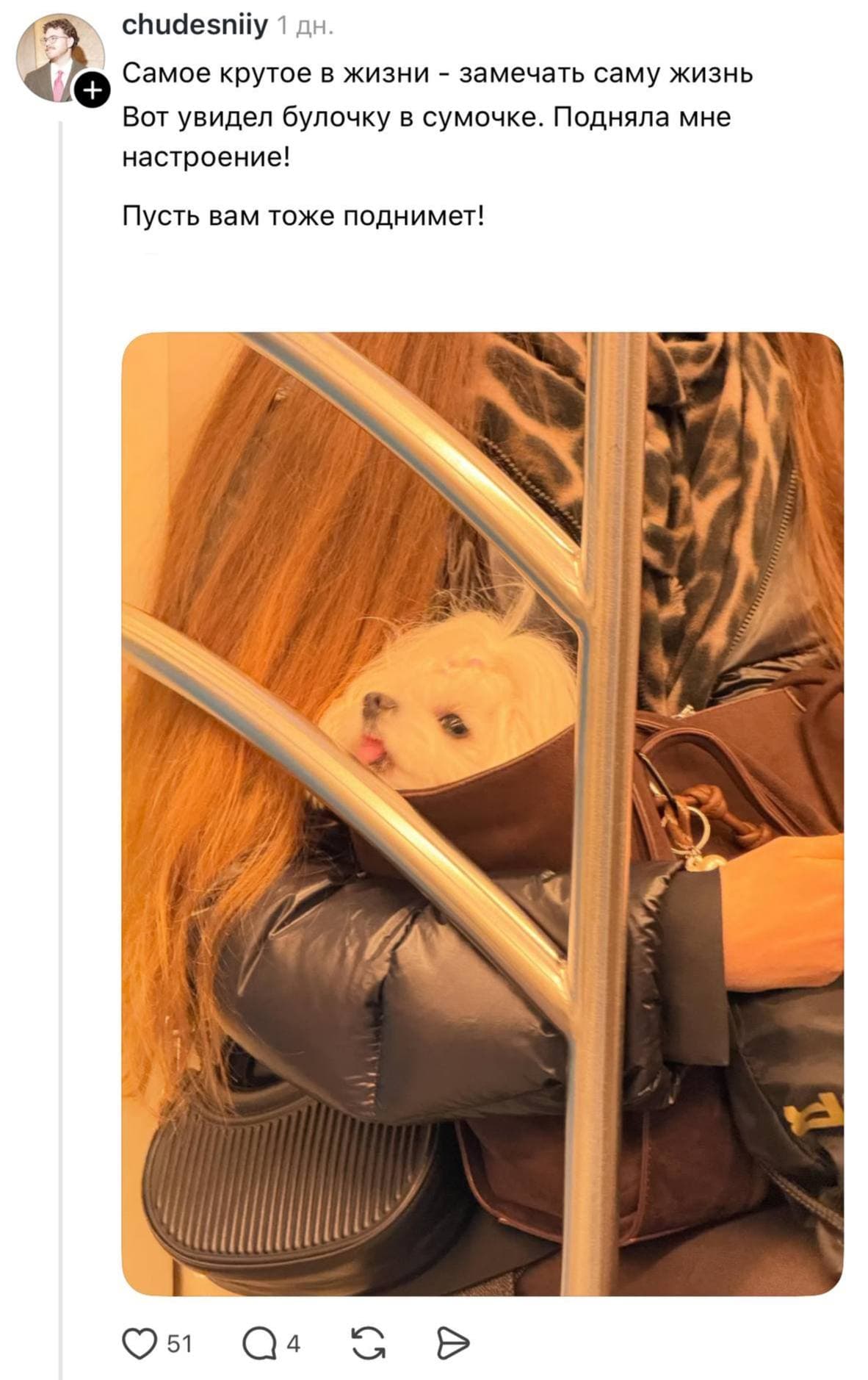Щенок