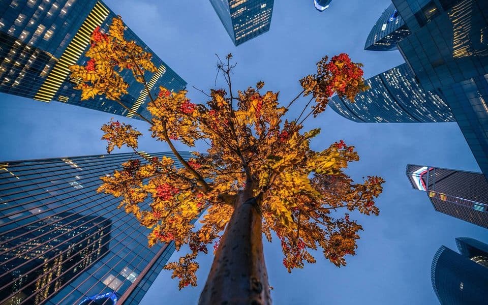 Осень