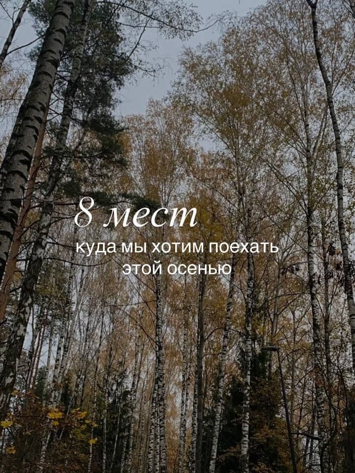 8 мест