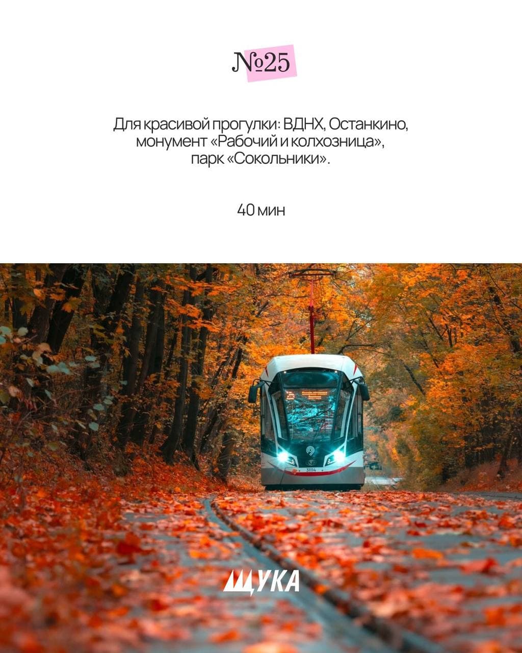 Трамвай