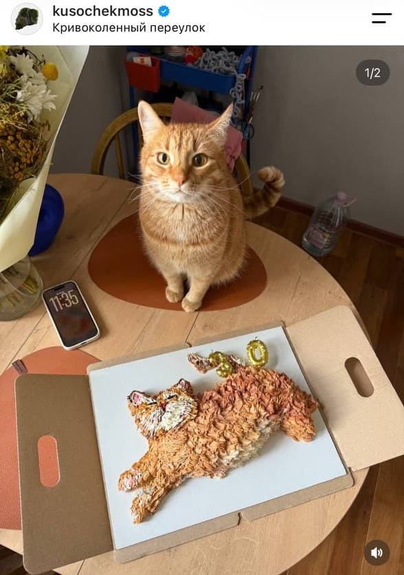 Тортик в виде котика