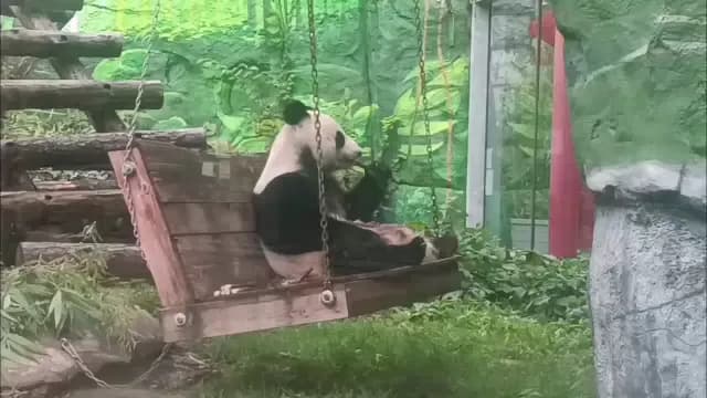 Кадр из видео 3262183889362676709.mp4