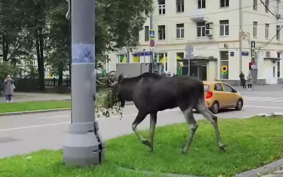 Кадр из видео -3243358608820336456.mp4