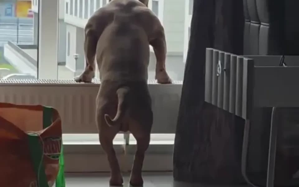 Кадр из видео -9112326296315299613.mp4
