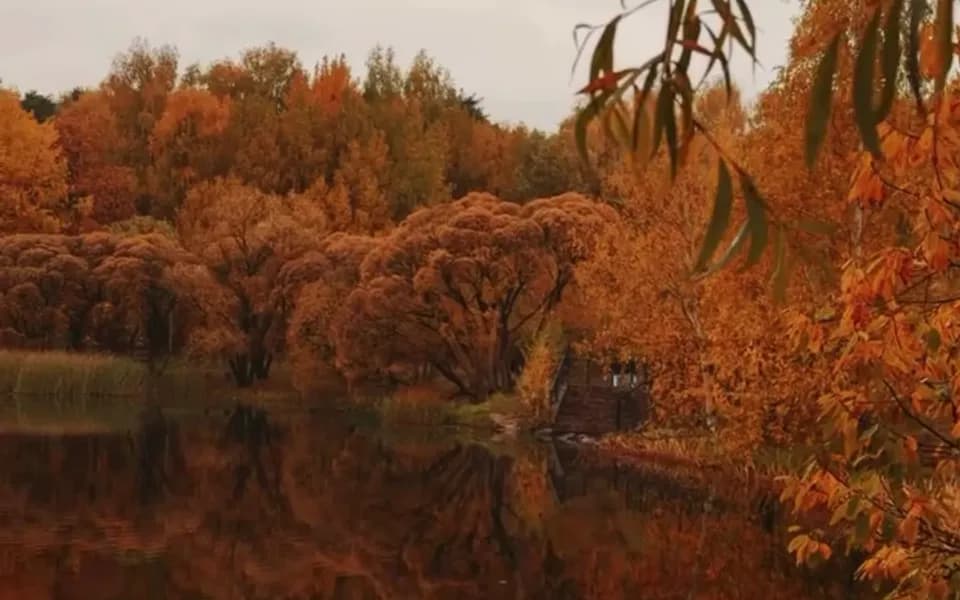 Кадр из видео -8481342707770626107.mp4