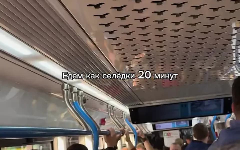 Кадр из видео 4935241644317783240.mp4