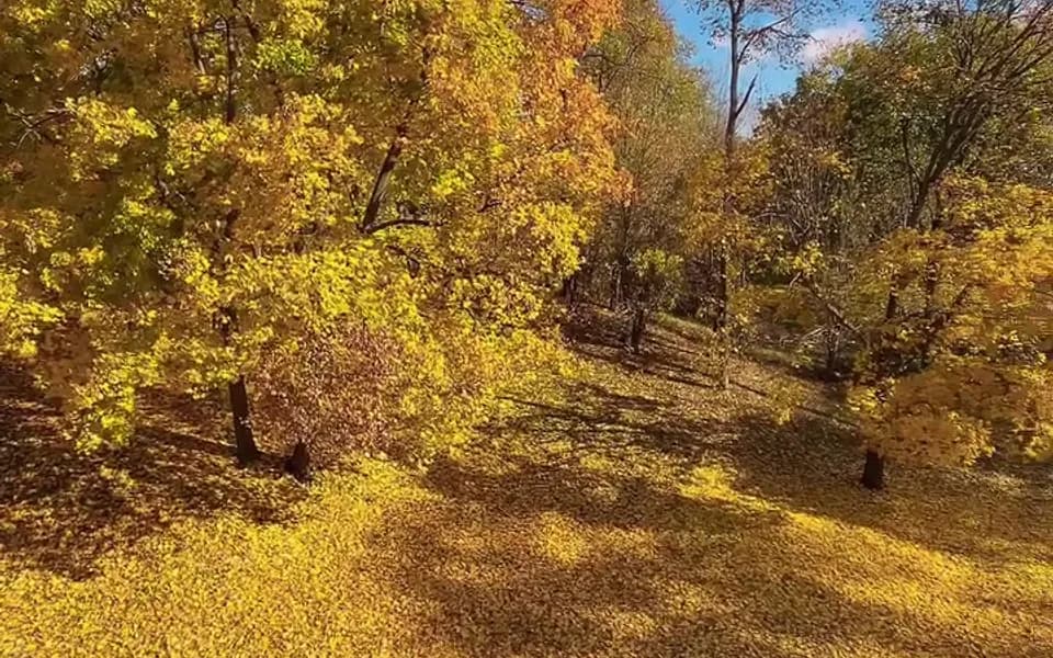 Кадр из видео -800280644373191456.mp4