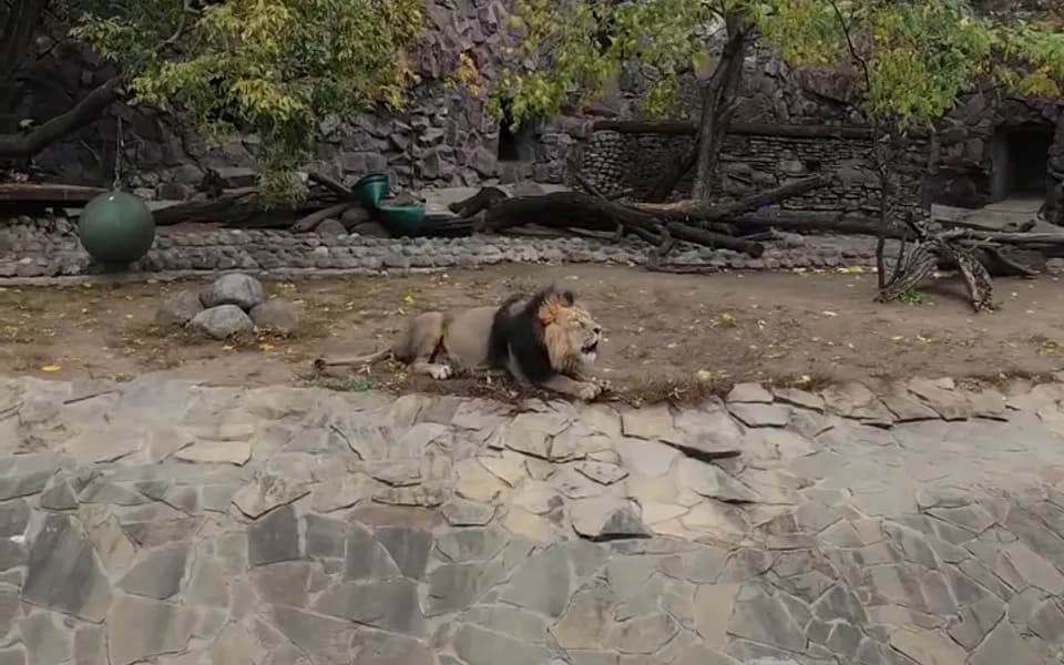 Кадр из видео -4825033496418342833.mp4