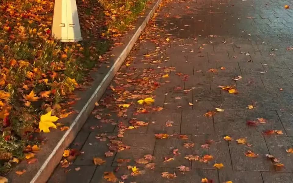 Кадр из видео 8463755852523114998.mp4