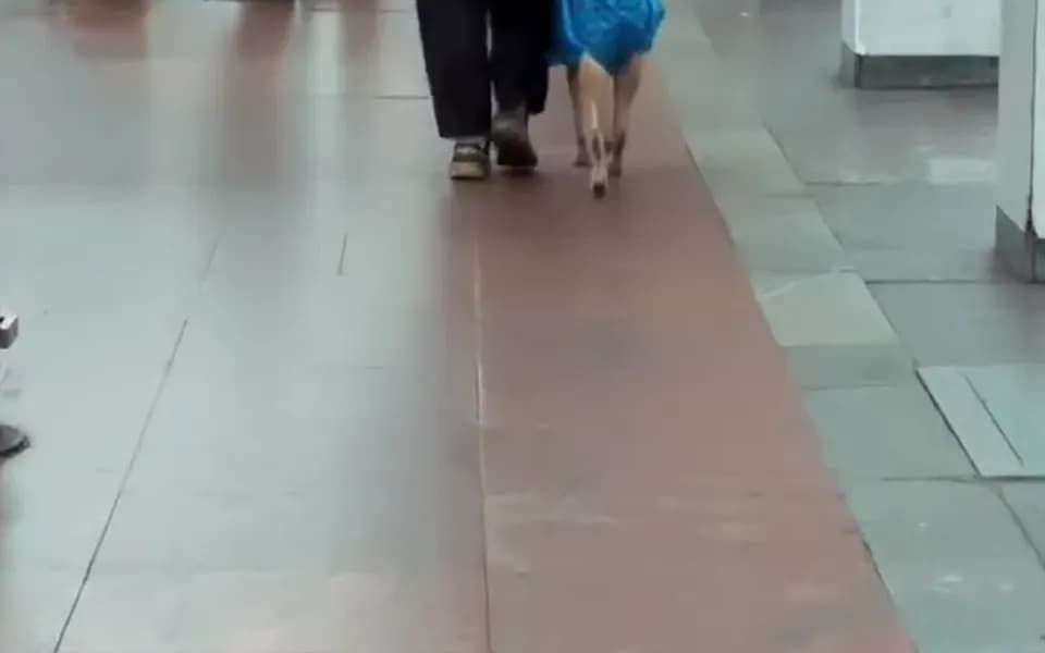 Кадр из видео -2064839856018949050.mp4