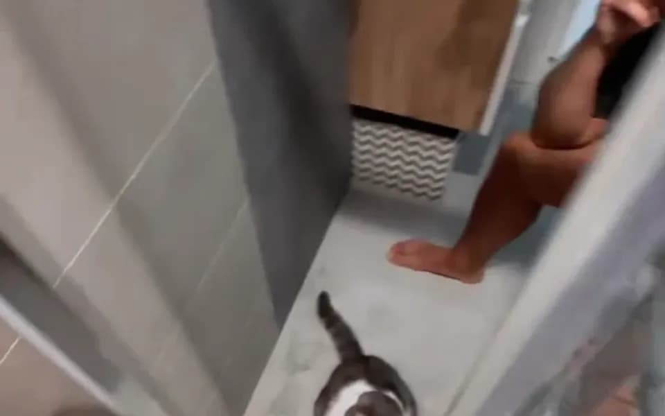 Кадр из видео -1871947989755300325.mp4