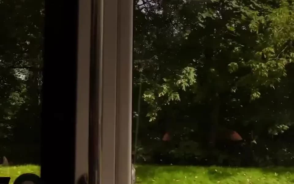 Кадр из видео 3982612393974874447.mp4