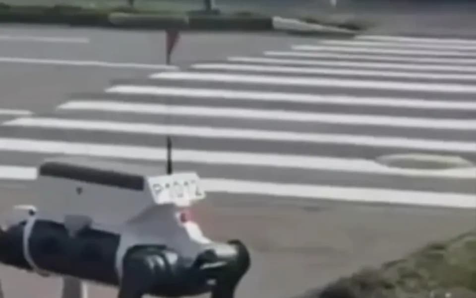 Кадр из видео -7794375442040163404.mp4