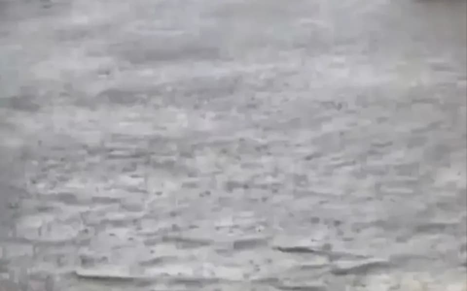 Кадр из видео 2347413229353755271.mp4