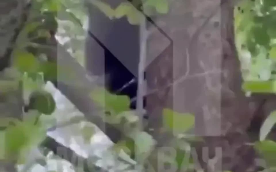 Кадр из видео -6285385131191562111.mp4