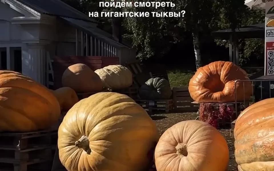 Кадр из видео 3560279919293117327.mp4