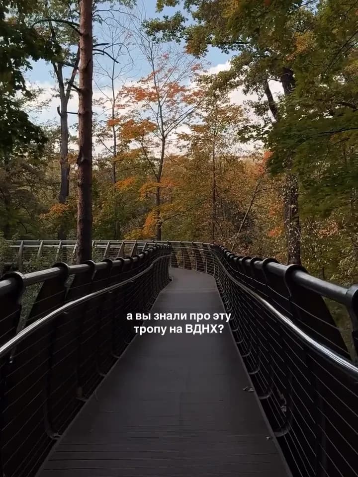 Кадр из видео 8586022972123227830.mp4
