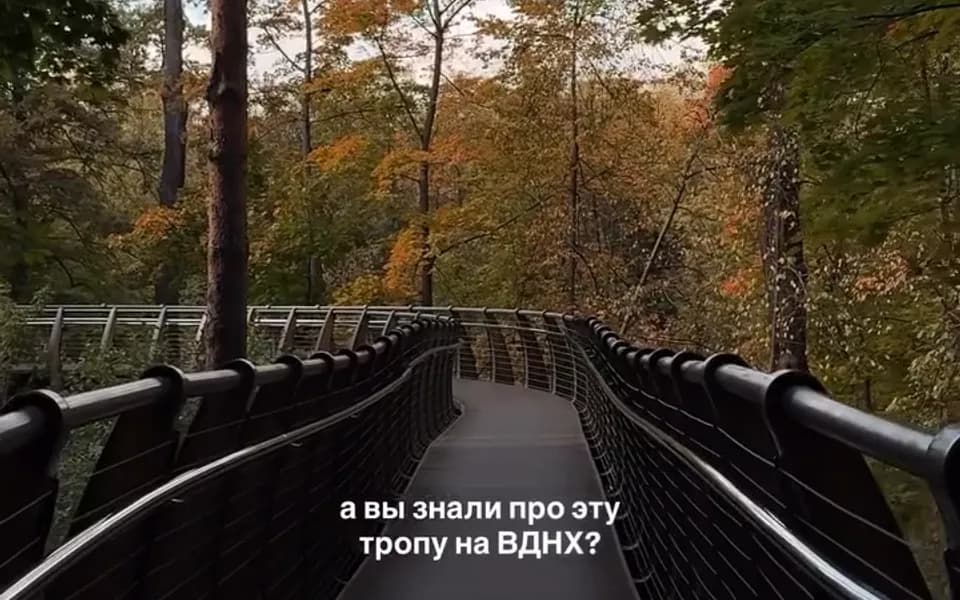 Кадр из видео 8586022972123227830.mp4