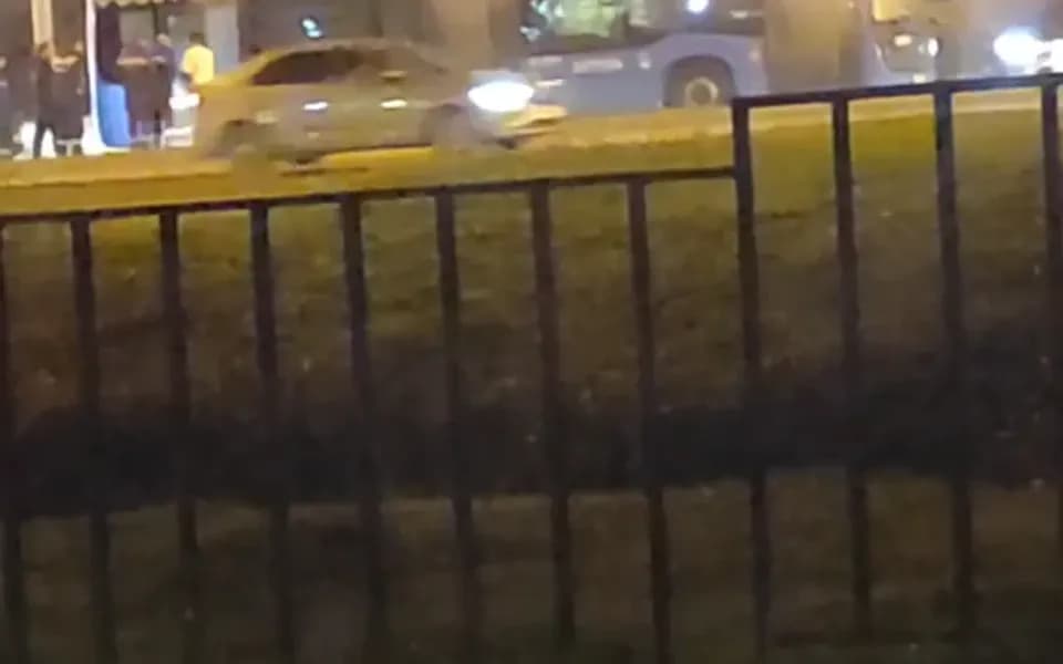 Кадр из видео 2309820151923901371.mp4