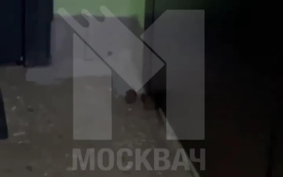 Кадр из видео 5728725717596425369.mp4