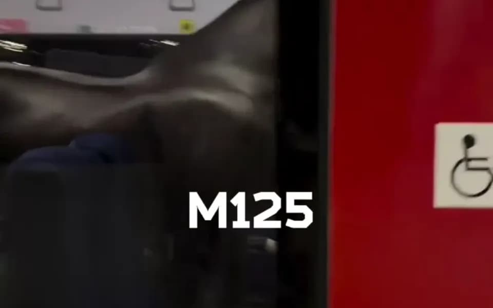 Кадр из видео 6467562940071748310.mp4