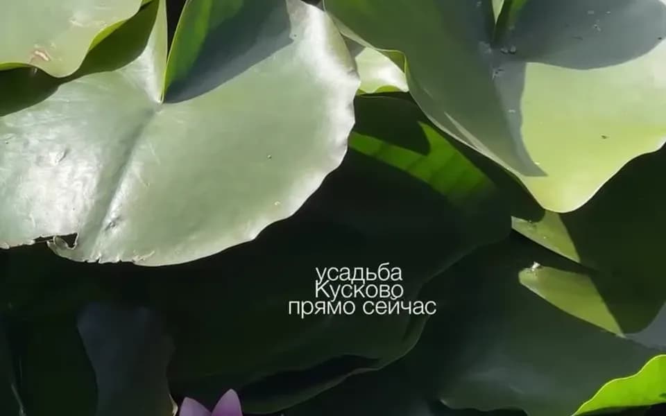 Кадр из видео 7166014502626999199.mp4