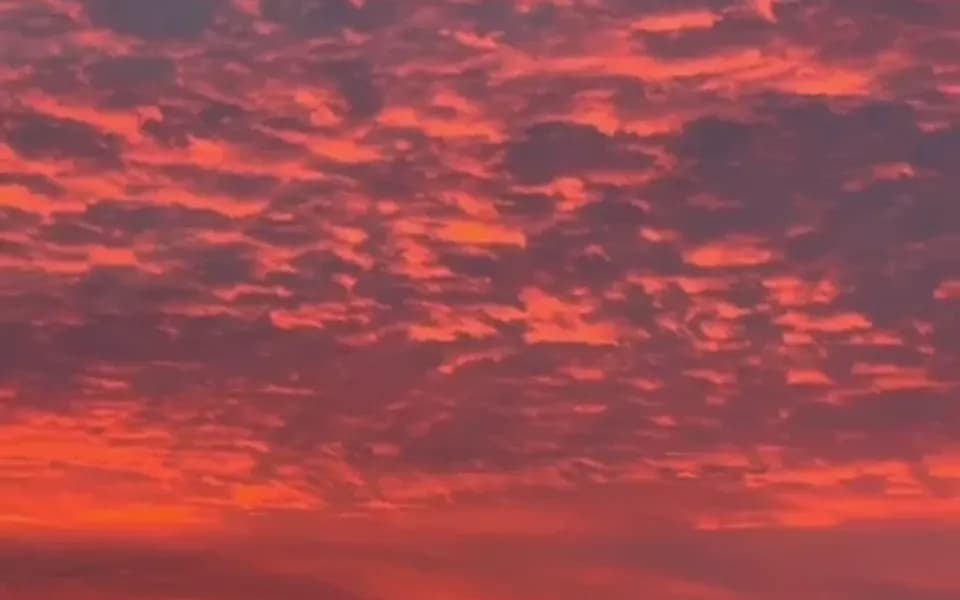 Кадр из видео 4071401384017661738.mp4
