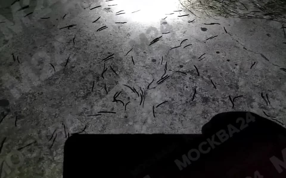Кадр из видео -6379439553916505241.mp4