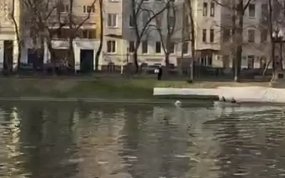 Кадр из видео -8517014724671516928.mp4