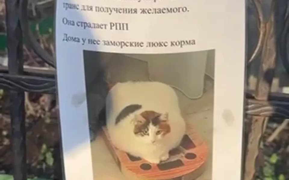 Кадр из видео video_1.mp4