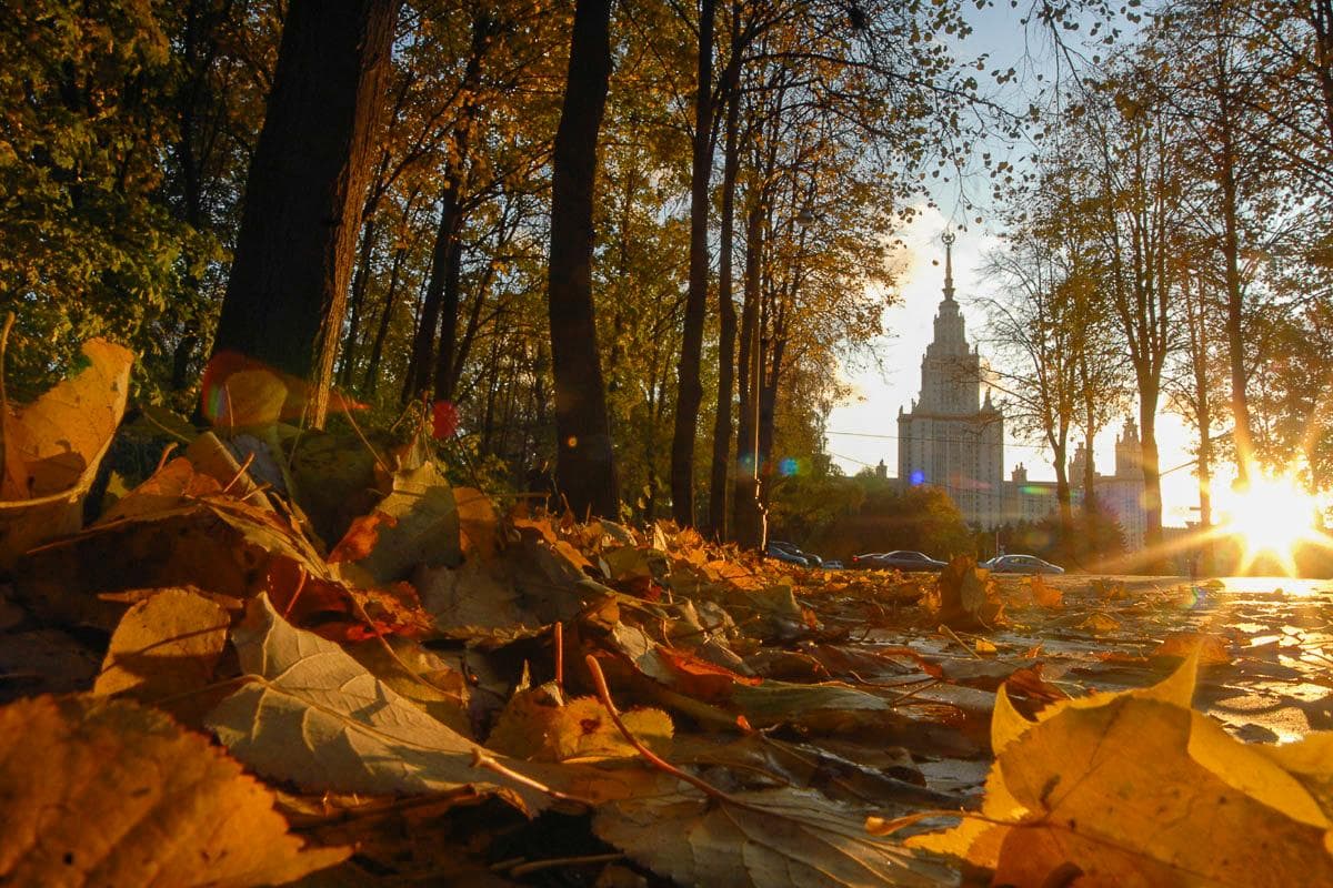 Осень