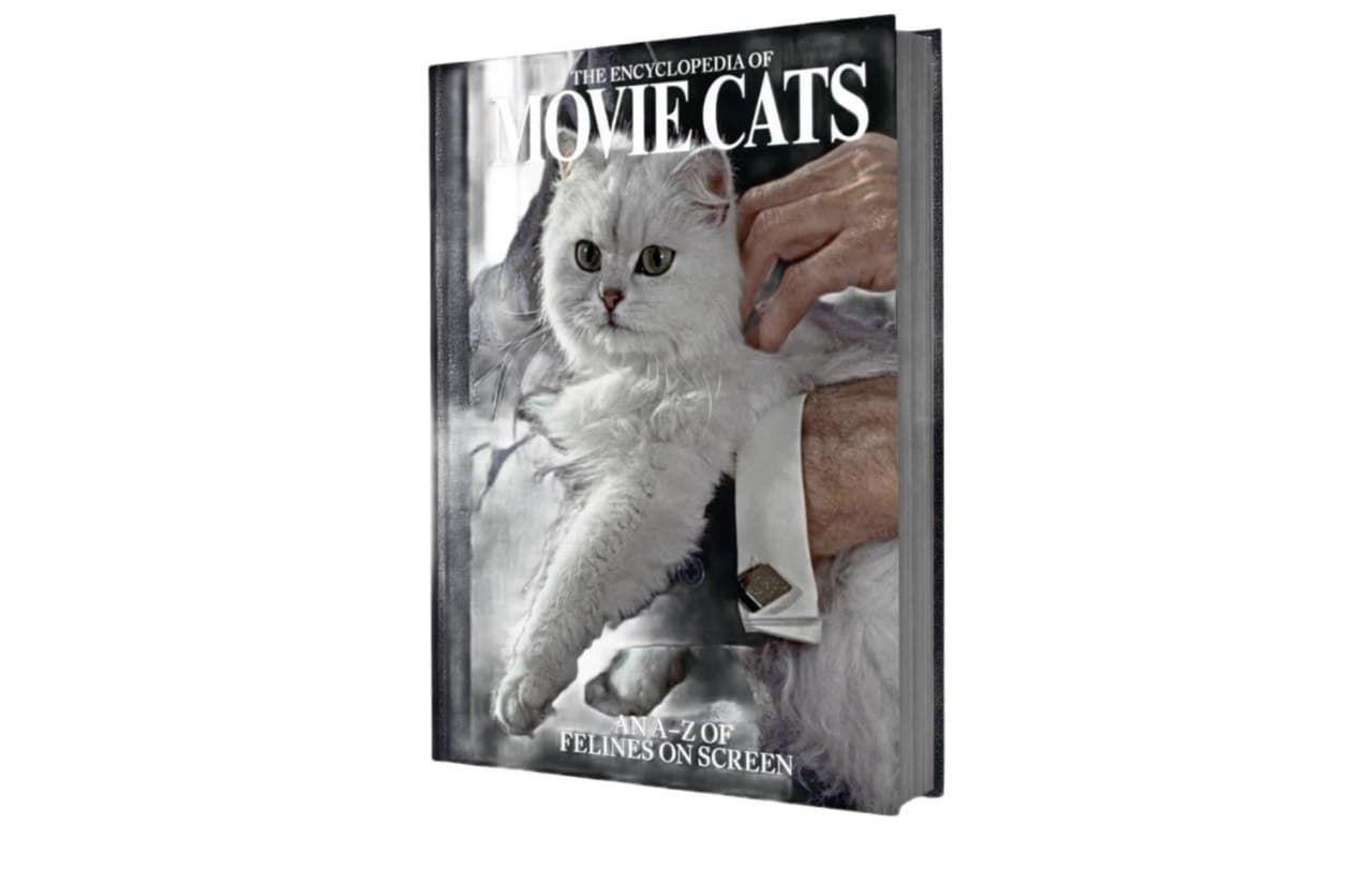 Кошки