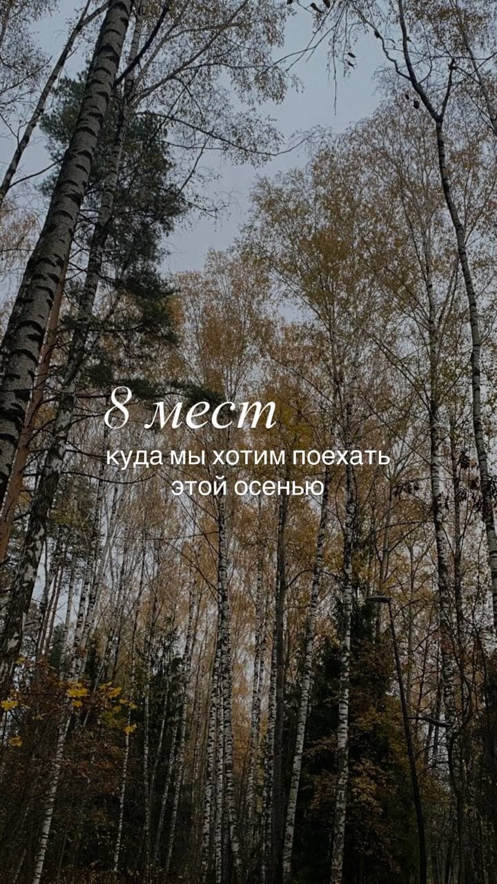 8 мест